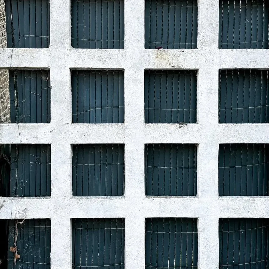 Axel Ronsin | 100 days of light, day 68